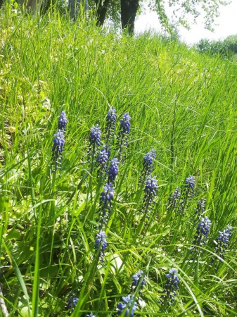 Autor: Marek a Jaroslav