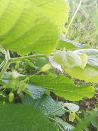 Autor: Marek a Jaroslav